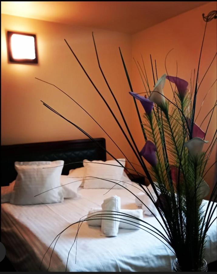Restaurant Casa Miorita Hotel Szászbuda Kültér fotó